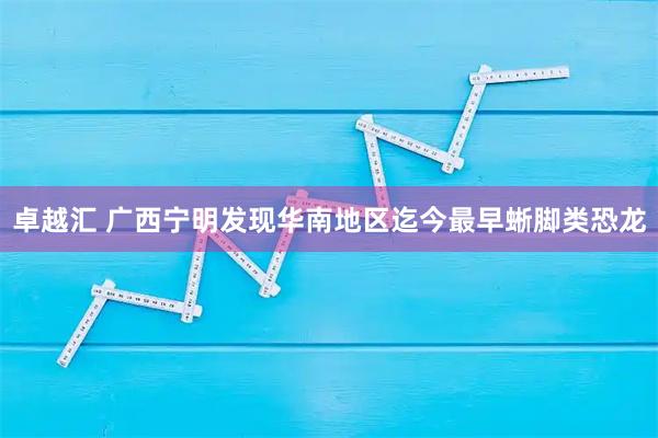 卓越汇 广西宁明发现华南地区迄今最早蜥脚类恐龙