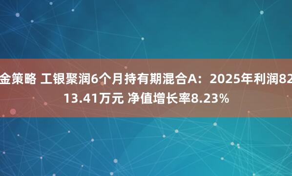 金策略 工银聚润6个月持有期混合A：2025年利润8213.41万元 净值增长率8.23%